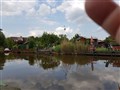 20170522_143945.jpg