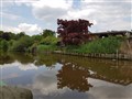 20170522_144014.jpg
