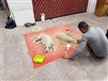 20170523_133420.jpg