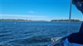 20230905_113026.jpg