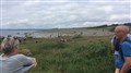 Mølen - IMG_1554.JPG