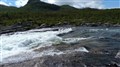 P1020366.JPG